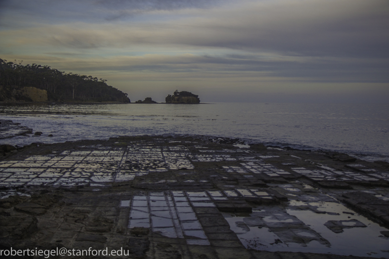 tessellated pavements